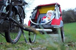 Benefits Of Investing In A Bike Trailer 250x166