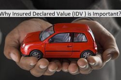 Insured Declared Value 250x166