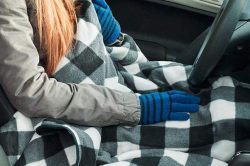 blanket in car 250x166